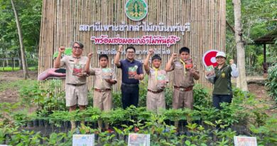 ขอความอนุเคราะห์กล้าไม้และผักสวนครัว